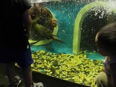 -成都浩海立方海洋公园