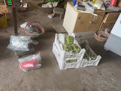 -马陆小张葡萄园农家乐