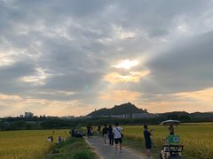 -光明小镇欢乐田园