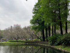 -晓港公园