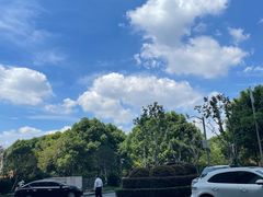-上海浦东嘉里大酒店