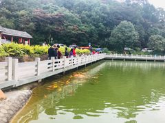 -广州市帽峰山景区