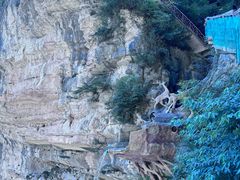 -鹿院坪生态旅游景区
