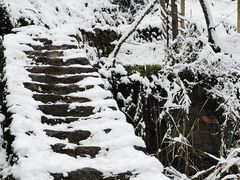 -秦岭风景区