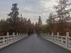 -广富林郊野公园