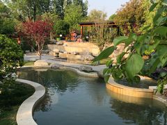 -思念果岭悦温泉