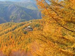 -苏木山森林公园