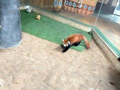 -石家庄市动物园