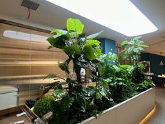 -悦海·家宴·冰花皮皮虾大锅贴(宝龙店)