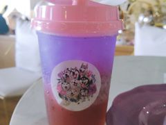 -Husky Go! 哈士奇体验馆·宠物咖啡厅狗咖