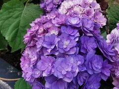 -方恒购物中心(望京小街店)