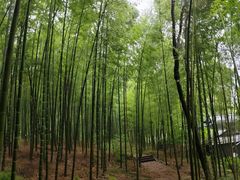 -善卷洞风景区