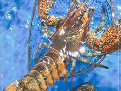 -盒马鲜生(顺义店)