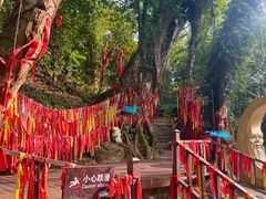 -七仙岭温泉国家森林公园