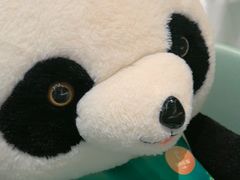 -眉州东坡·熊猫主题餐厅(枫蓝店)