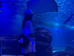 -江和美海洋公园