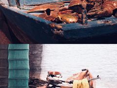 -大连博物馆