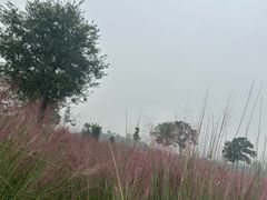 -汉长安城未央宫国家考古遗址公园