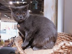 -小时光咖啡馆(开森度假森林店)
