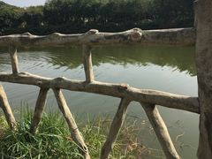 -大屏嶂森林公园