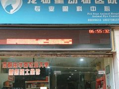 -宠物星动物医院·眼科·异宠·猫科(江南大道总院)