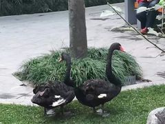 -西安曲江寒窑遗址公园