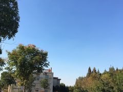 -南湖湿地公园