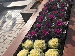 -合肥海洋世界