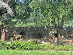 -北京野生动物园