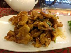 老式锅包肉-勺园饭店(骨科医院店)