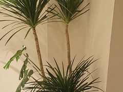 -枕水江南(浑南店)