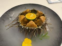 生吃海胆-品海楼·大连海胆锅贴馆(东港店)