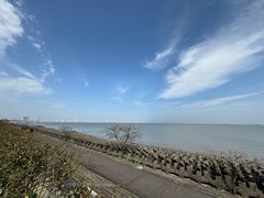 -上海滨江森林公园