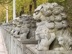 -高旻寺