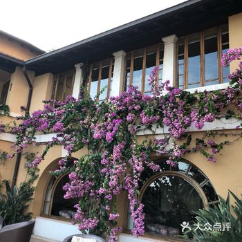 这就是我在寻找的古老的感觉