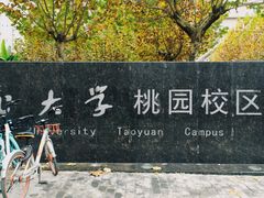 -西北大学(桃园校区)