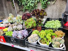 -南门绿玉农贸市场