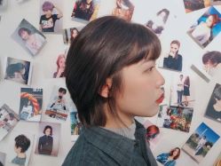 -艺之剪