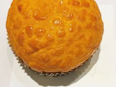 -大家乐(广州天河城六楼店)