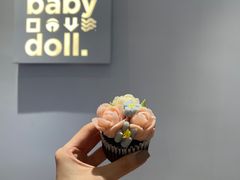-babydoll猫舍·米努特·德文·缅因(久光中心店)