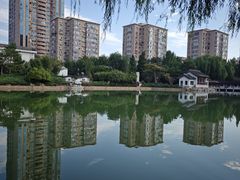 -团结湖公园
