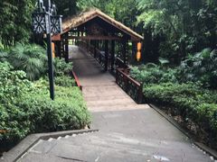 -天赐温泉
