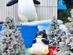 -汕头中海黄金海岸水上乐园