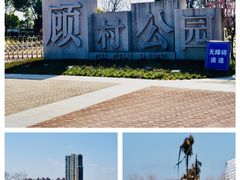 -顾村公园