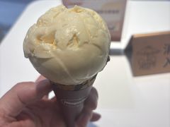 香草味品脱-哈根达斯(大洋百货店)