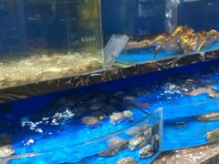 -河马鲜生海鲜超市(风荷园店)