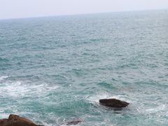 -广东惠东海龟国家级自然保护区