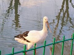 -上方山森林动物世界
