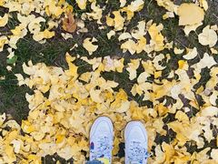 -元大都城垣遗址公园