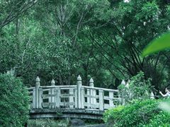 -深圳国际园林花卉博览园